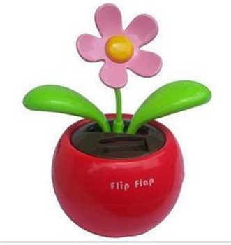 Bild von Flip Flap Rot mit rosa Blüte